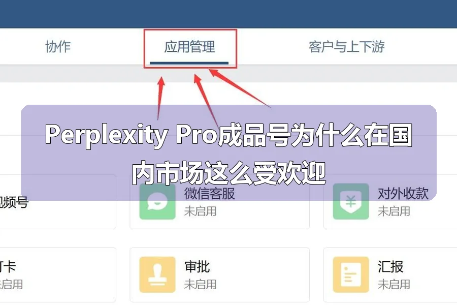 Perplexity Pro成品号为什么在国内市场这么受欢迎